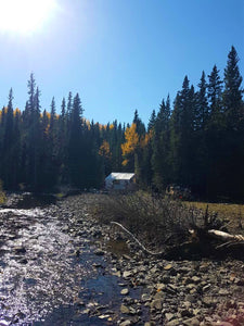 canvas wall tent
